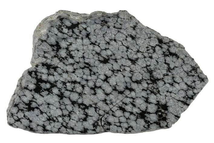 Polished Snowflake Obsidian Section - Utah #117782